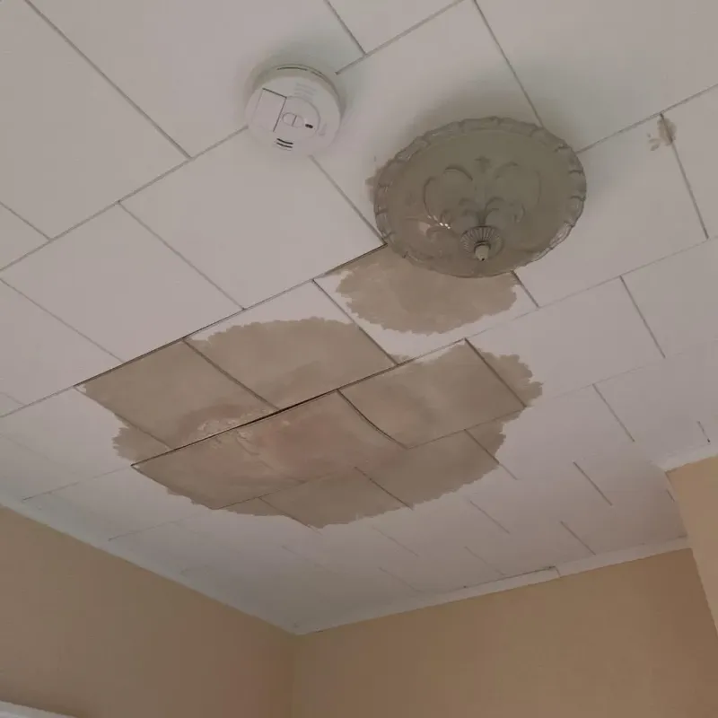 Ceiling Water Damage Repair in Santaquin, UT