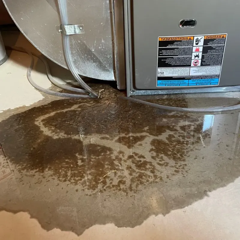 Pipe Burst and Leak Restoration in Santaquin, UT