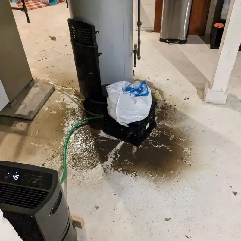 Sewage Backup Cleanup Service in Santaquin, UT